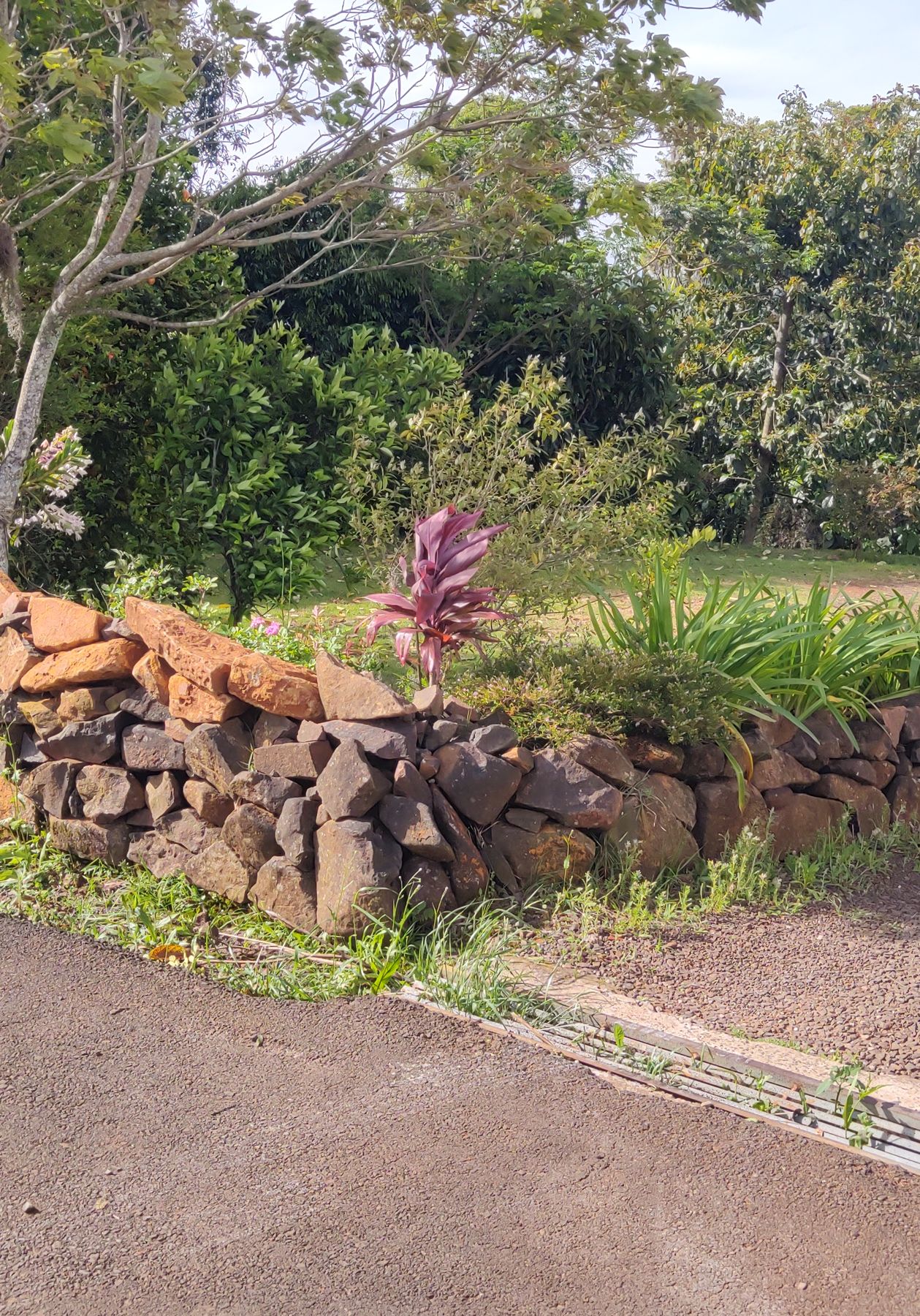 Muro de pedra e canteiro